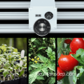 Indoor Full Spectrum White Grow Light Garden Kit